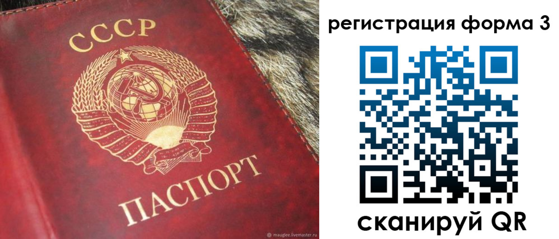 прописка регистрация в Козловке